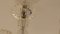 Lámpara de araña de cristal de Murano de Ercole Barovier, años 50, Imagen 17