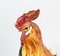 French Ceramic Barbotine Rooster Vase from Vallauris, 19th Century 8