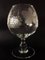 Late 19th Century Blown Glass Coupe with Vines Decor 4