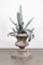 Iron Agave Plant Sculpture, 18th Century, Image 2