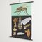 Póster educativo de moscas de Jung, Koch, & Quentell para Hagemann, años 60, Imagen 2