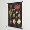 Botanische Tulip Lehrtafel von Jung, Koch & Quentell für Hagemann, 1950er 2