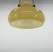 Glass & Brass Pendant Light, 1950s, Image 9