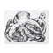 Handbemalte Octopus Kissenbezüge aus Baumwolle von Jodie Niss, 2er Set 3