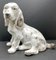 Escultura de perro de cerámica esmaltada y pintada a mano, Italia, años 50, Imagen 5