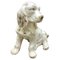 Ceramic Glazed Handpainted Dog Sculpture, Italy, 1950s 2