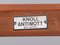 Antimott Armchair from Knoll Inc. / Knoll International, 1960s 10