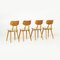 Dining Chairs from Ton, Former Czechoslovakia, 1960s, Set of 4, Image 3