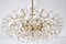Large Austrian Chandelier in Brass and Crystal Glass from Bakalowits & Söhne, 1960s 4