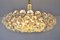 Large Austrian Chandelier in Brass and Crystal Glass from Bakalowits & Söhne, 1960s 5