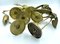 Brass Cranes, 1960s, Set of 6, Image 6