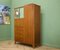 Mid-Century Compacted Wardrobe from Lebus, 1960s 3