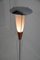 Floor Lamp from Drukov, Czechoslovakia, 1960s 7