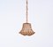 Lámpara de araña francesa Mid-Century de caña de bambú y ratán al estilo de Louis Sognot, años 60, Imagen 2