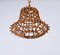 Mid-Century Bamboo Cane & Rattan French Chandelier in the style of Louis Sognot, 1960s 3