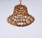 Mid-Century Bamboo Cane & Rattan French Chandelier in the style of Louis Sognot, 1960s, Image 3