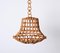 Mid-Century Bamboo Cane & Rattan French Chandelier in the style of Louis Sognot, 1960s, Image 5