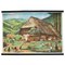 Vintage Black Forest Farming House Rollable Wallchart, 1970s 1