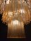 Lámparas de araña italianas de Valentina Planta, Murano. Juego de 2, Imagen 13