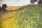 David Rylance, Wildflower Meadow, Watercolour, Framed, Image 9