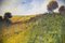 David Rylance, Wildflower Meadow, Watercolour, Framed, Image 10