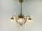 Viennese Chandelier with Hand Sanded Glass Shades, 1930s 4