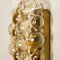 Applique a bolle in vetro ambrato di Helena Tynell per Limburg, anni '60, Immagine 4