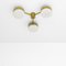 Celeste Epiphany Chrome Lucid Wall and Ceiling Lamp by Design for Macha 3