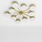 Celeste Epoch Chrome Lucid Wall and Ceiling Lamp by Design for Macha 2