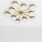Celeste Epoch Chrome Lucid Wall and Ceiling Lamp by Design for Macha, Image 2