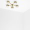 Celeste Ethereal Chrome Lucid Wall and Ceiling Lamp by Design for Macha 3