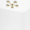 Celeste Ethereal Chrome Lucid Wall and Ceiling Lamp by Design for Macha, Image 3