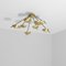 Octo II Helios Collection Chrome Lucid Wall and Ceiling Lamp by Design for Macha 2