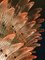 Lustres Palmettes en Murano Rose, 1990s, Set de 2 7