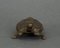 Schildkrötenskulptur aus Bronze, 19. Jh. 3