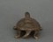 Schildkrötenskulptur aus Bronze, 19. Jh. 6