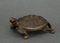 Schildkrötenskulptur aus Bronze, 19. Jh. 7