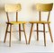 Vintage Dining Chairs from Ton, 1970s, Set of 2 2