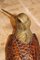 Pájaro italiano de madera y latón, años 70, Imagen 5