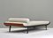 Cleopatra Daybed by Cordemeijer for Auping, Netherlands, 1954 3