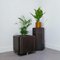 Leather Ds47 Planter from de Sede, 1970s 9