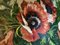 E. Brandt, Coquelicots, 1950s, Oil on Canvas, Image 2