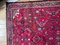 Large Oriental Wool Rug 5