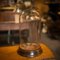 English Display Dome in Glass & Beech, 1900s, Image 4