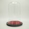Antique English Bell Bottom Display Dome in Glass, 1910s 1