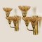 Flower Glass and Brass Wall Sconce from Hille, Germany, 1960s 17
