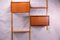 Danish Royal System Modular Shelving by Poul Cadovius, 1950s 1