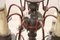 Lámpara de araña grande de madera y hierro, años 20, Imagen 5