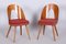 Mid-Century Czech Chairs by Antonín Šuman, 1950s, Set of 2 1