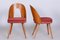 Chaises Mid-Century par Antonín Šuman, République Tchèque, 1950s, Set de 2 2